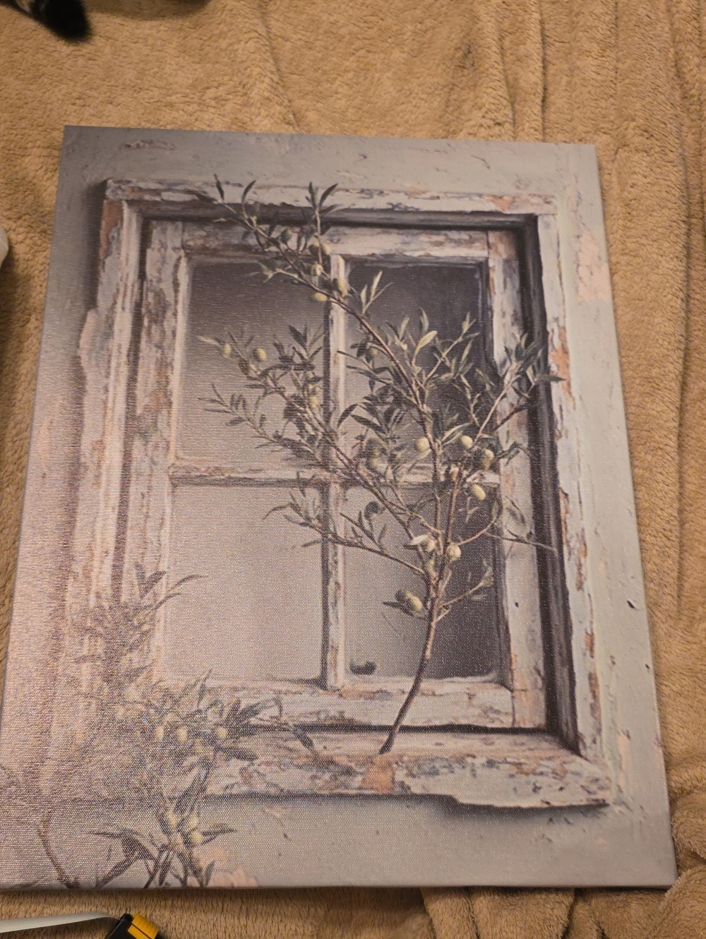 Rustic Window Olive Branch Canvas Wall Art in Neutral Tones